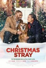 Watch A Christmas Stray Movie4k