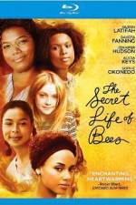 Watch The Secret Life of Bees Movie4k