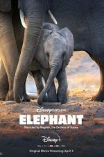 Watch Elephant Movie4k