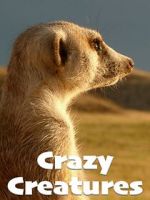 Watch Crazy Creatures Movie4k