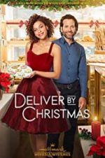 Watch Deliver by Christmas Movie4k