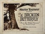 Watch The Broken Butterfly Movie4k