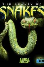 Watch The Beauty of Snakes Movie4k