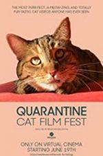Watch Quarantine Cat Film Fest Movie4k