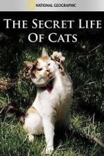 Watch The Secret Life of Cats Movie4k