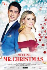 Watch Meeting Mr. Christmas Movie4k