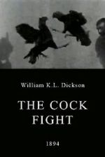 Watch The Cock Fight Movie4k