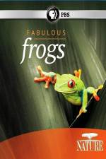 Watch Nature: Fabulous Frogs Movie4k