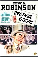 Watch Brother Orchid Movie4k