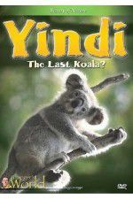 Watch Yindi the Last Koala Movie4k