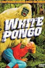 Watch White Pongo Movie4k