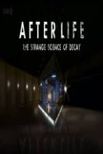 Watch After Life: The strange Science Of Decay Movie4k