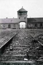 Watch AUSCHWITZ: FRENZIED KILLING Movie4k