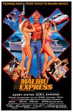 Watch Malibu Express Movie4k