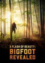 Watch A Flash of Beauty: Bigfoot Revealed Movie4k