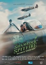Watch The Shamrock Spitfire Movie4k