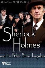 Watch Sherlock Holmes and the Baker Street Irregulars Movie4k