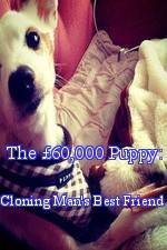 Watch The 60,000 Puppy: Cloning Man's Best Friend Movie4k