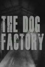 Watch The Dog Factory Movie4k