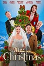 Watch A Ring for Christmas Movie4k