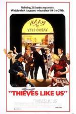 Watch Thieves Like Us Movie4k