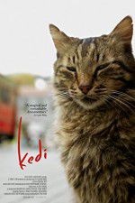 Watch Kedi Movie4k