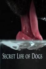 Watch Secret Life of Dog Movie4k