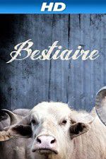 Watch Bestiaire Movie4k