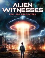 Watch Alien Witnesses: Real UFO Encounters Movie4k