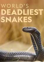 Watch World's Deadliest Snakes Movie4k