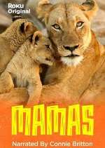 Watch Mamas Movie4k