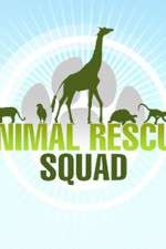 Watch Animal Rescue Squad Movie4k