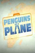 Watch Penguins on a Plane Movie4k