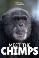 Watch Meet the Chimps Movie4k