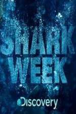 Watch Shark Week Movie4k