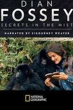 Watch Dian Fossey: Secrets in the Mist Movie4k