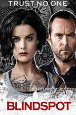 Watch Blindspot Movie4k