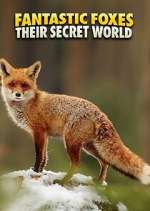 Watch Fantastic Foxes: Their Secret World Movie4k