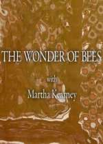 Watch The Wonder of Bees with Martha Kearney Movie4k