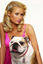 Watch Paris Hilton's British Best Friend Movie4k