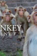 Watch Monkey Planet Movie4k