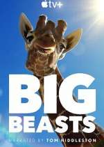 Watch Big Beasts Movie4k