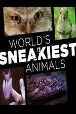 Watch World's Sneakiest Animals Movie4k