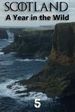 Watch Scotland: A Wild Year Movie4k