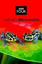 Watch Natures Microworlds Movie4k