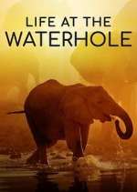 Watch Life at the Waterhole Movie4k