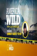 Watch America the Wild Movie4k