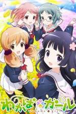 Watch Wakaba Girl Movie4k