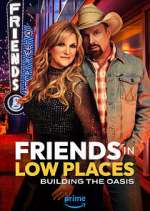 Watch Friends in Low Places Movie4k
