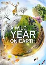 Watch A Wild Year on Earth Movie4k